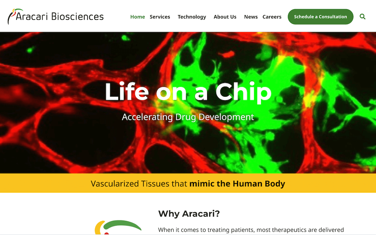 Aracario Bio home page