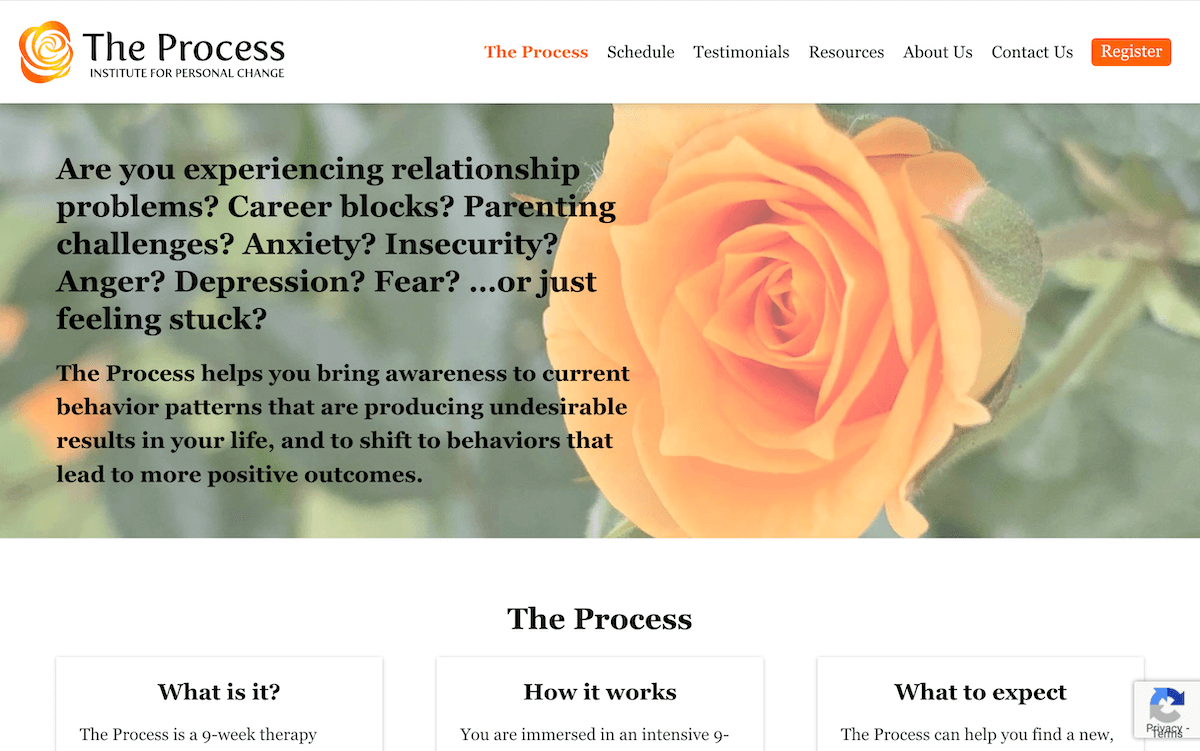 The Process home page